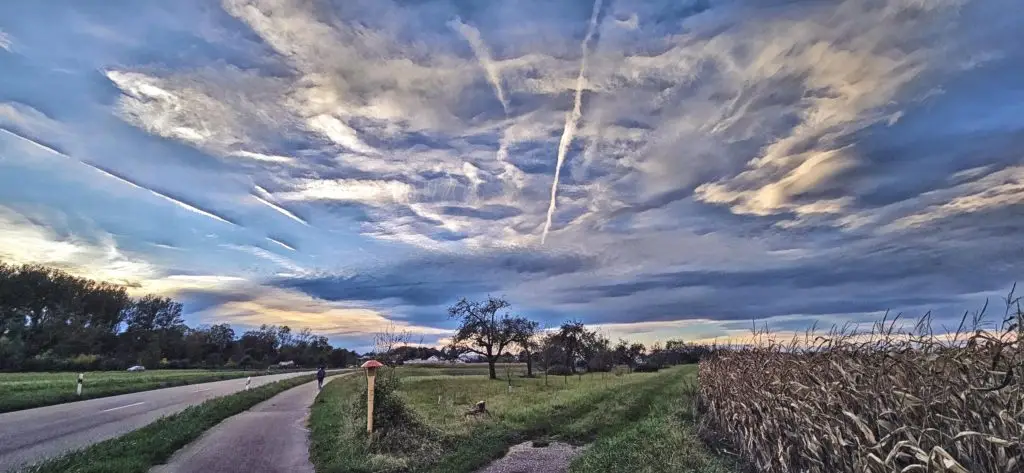 Himmel-ueber-Liedolsheim-web-1024x473 Mehr Demokratie wagen (Januar 2025)