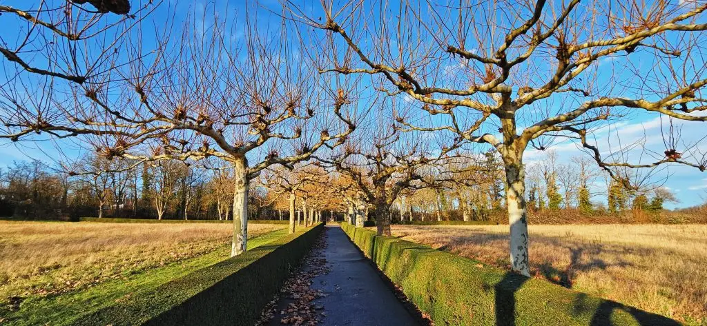 Weg-zum-Friedhof-PZN-1024x473 Die Gefahr großer Vermögen für Demokratie und die freiheitlichen Gesellschaften