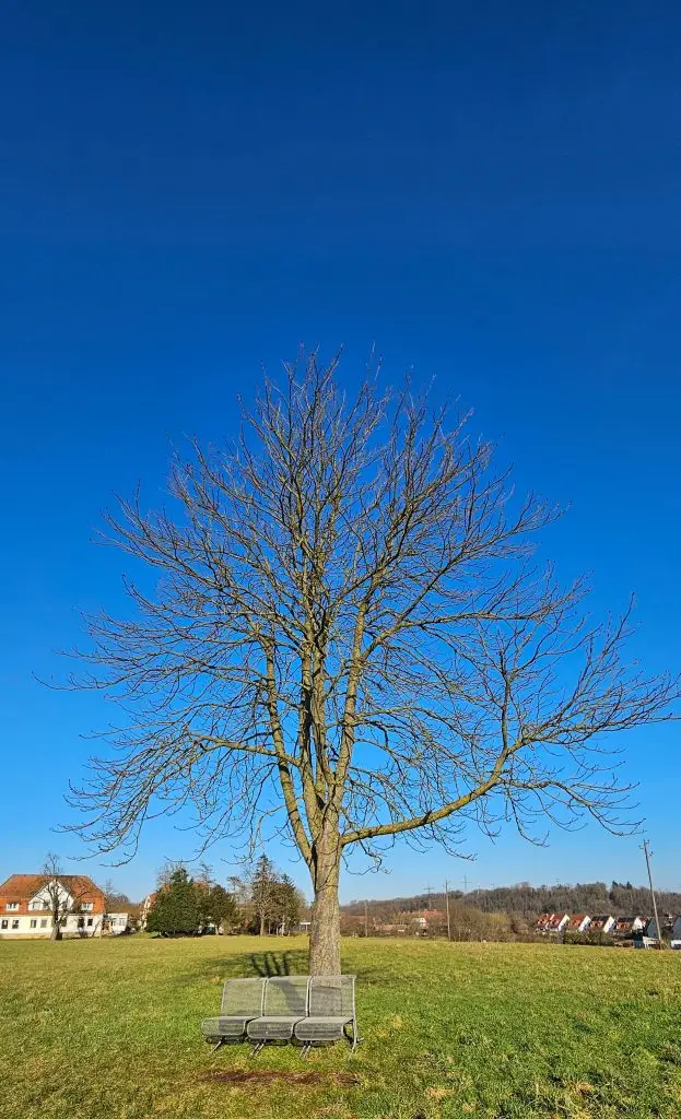 20250202_151553-1-623x1024 Das eigene Ich ist alles!? (Februar 2025)