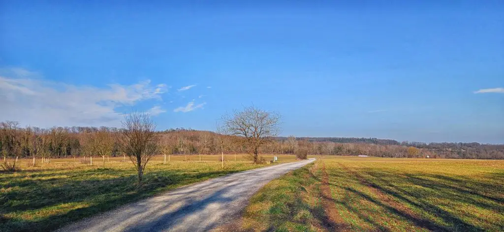 20250208_140730-Kopie-1024x473 Das eigene Ich ist alles!? (Februar 2025)