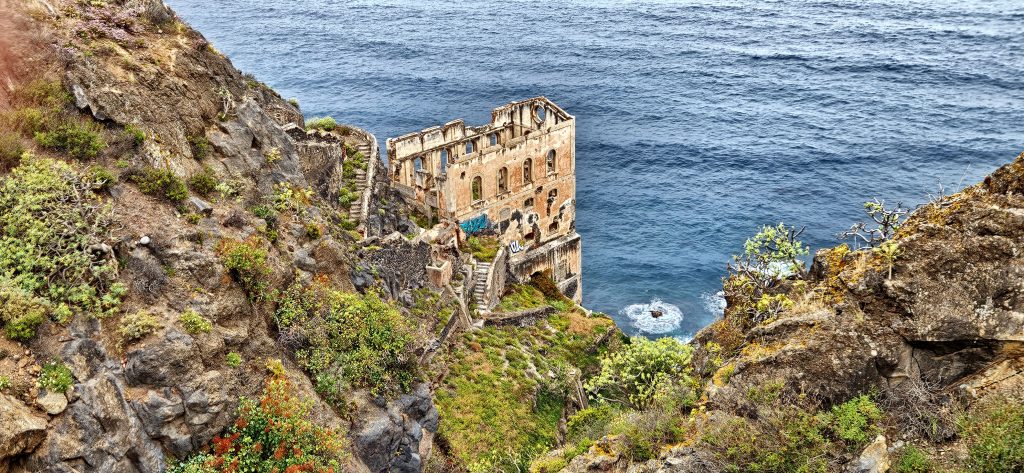 20250602_101111-1024x473 Gesunder Menschenverstand: Wenn das Bauchgefühl uns in die Irre führt