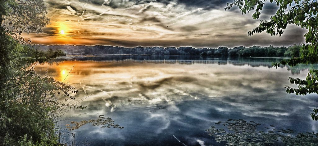 20250622_205334-1024x473 Gesunder Menschenverstand: Wenn das Bauchgefühl uns in die Irre führt