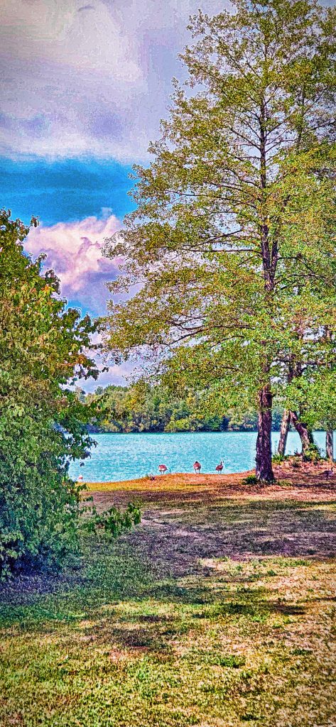 20250721_151339-2-473x1024 Gesunder Menschenverstand: Wenn das Bauchgefühl uns in die Irre führt