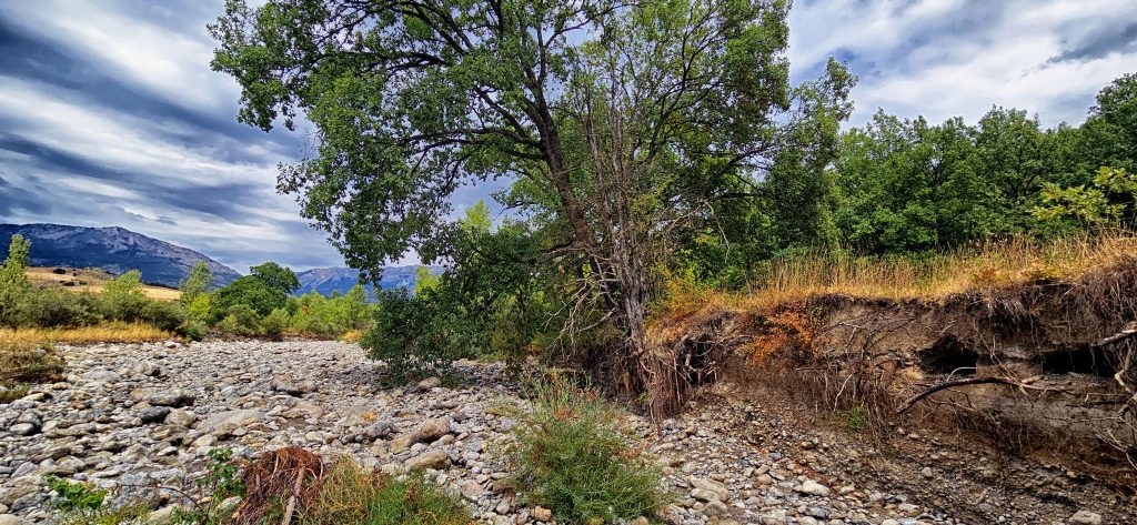 Flussbett-Thoard-mit-Baum-1024x473 Kann man aus der Geschichte lernen?