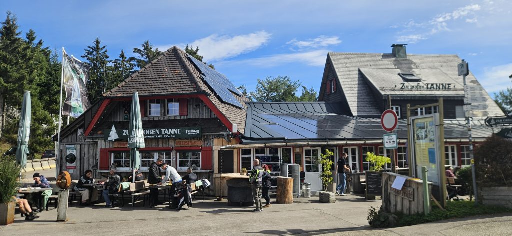 Zur-grossen-Tanne-1024x473 Über mich – warum ich hier schreibe
